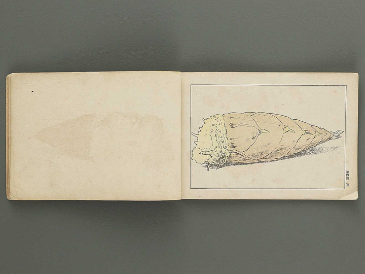 Koto shogaku enpitsu gacho / BJ349-356