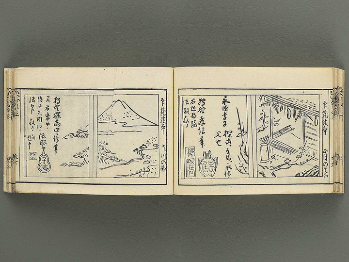 Iitogusa (Jo) / BJ343-224