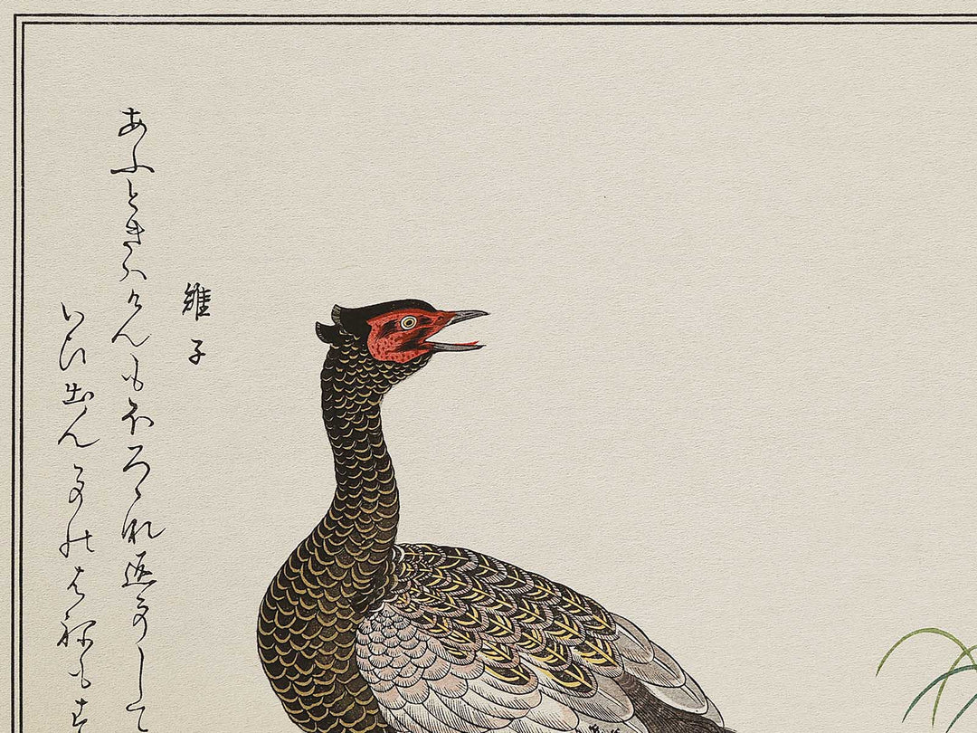 Swallow and Pheasant from the series Momochidori kyoka awase by Kitagawa Utamaro, (Large print size) / BJ327-964