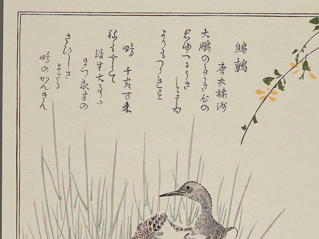 Wren and Snipe from the series Momotidori kyokaawase by Kitagawa Utamaro, (Large print size) / BJ244-958