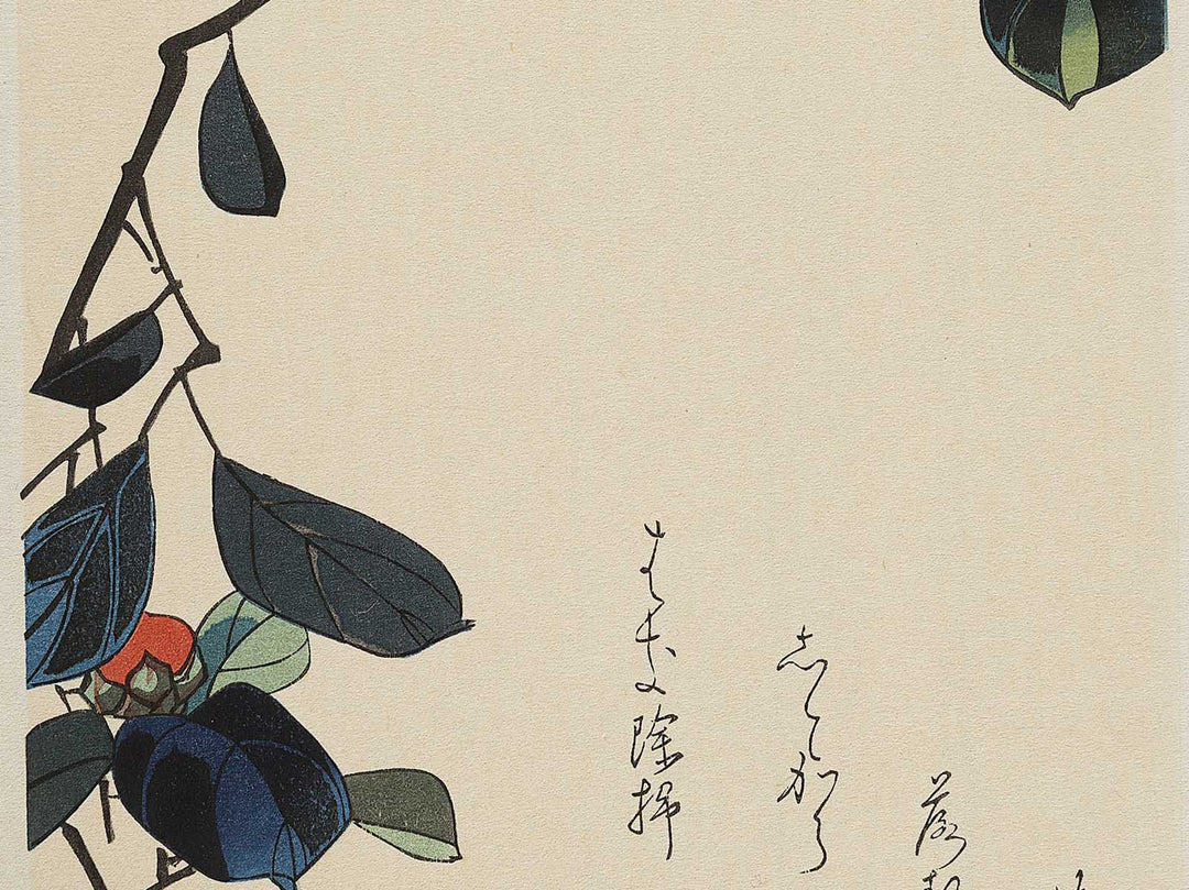 Bullfinch in Tsubaki by Utagawa Hiroshige, (Medium print size) / BJ328-083