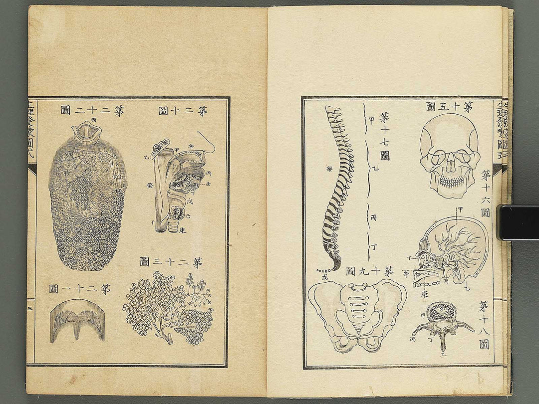 Seiri hatsumo zushiki / BJ343-658