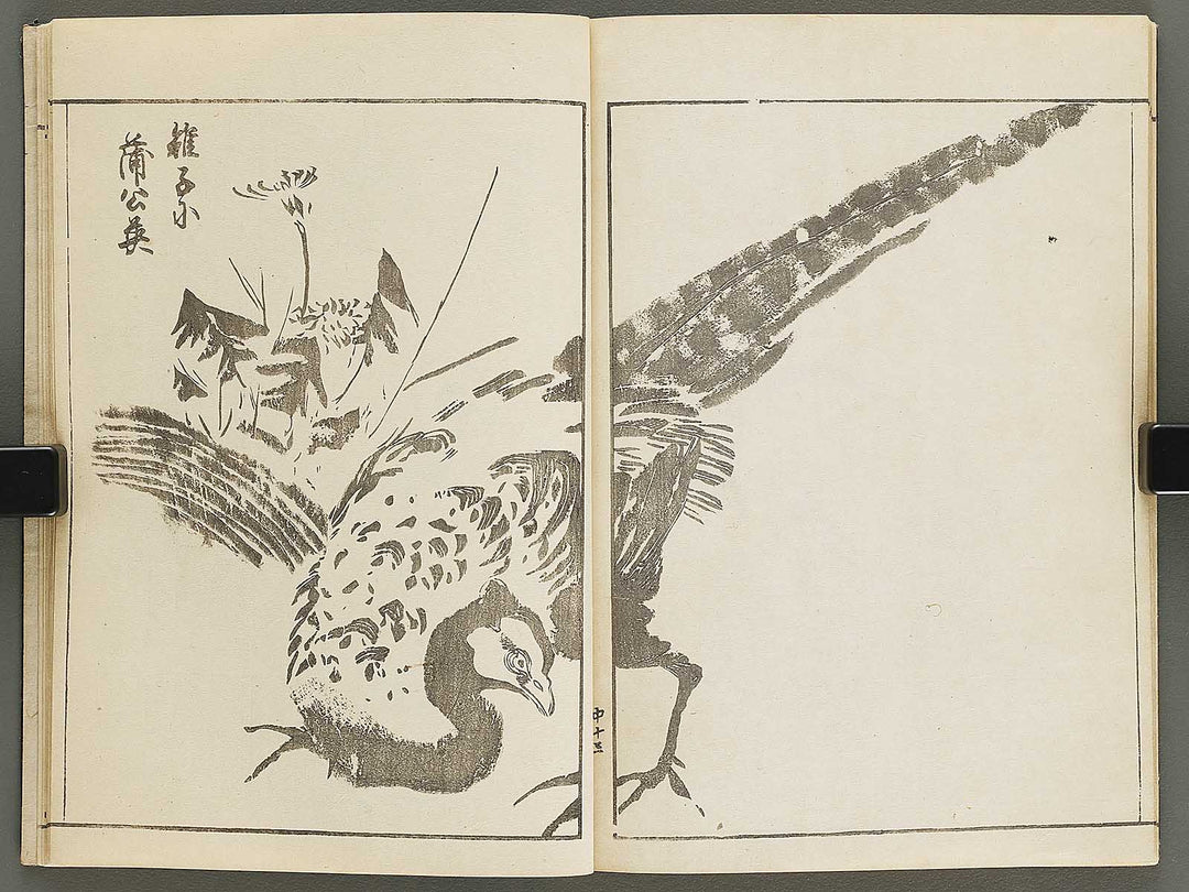 Shinki isso (Chu) by Kuwagata Keisai / BJ326-508