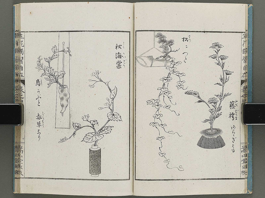 Shoryu hiden ikebana dokushu jizai Volume 4 / BJ332-759