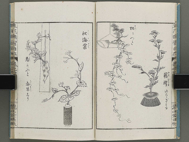 Shoryu hiden ikebana dokushu jizai Volume 4 / BJ332-759