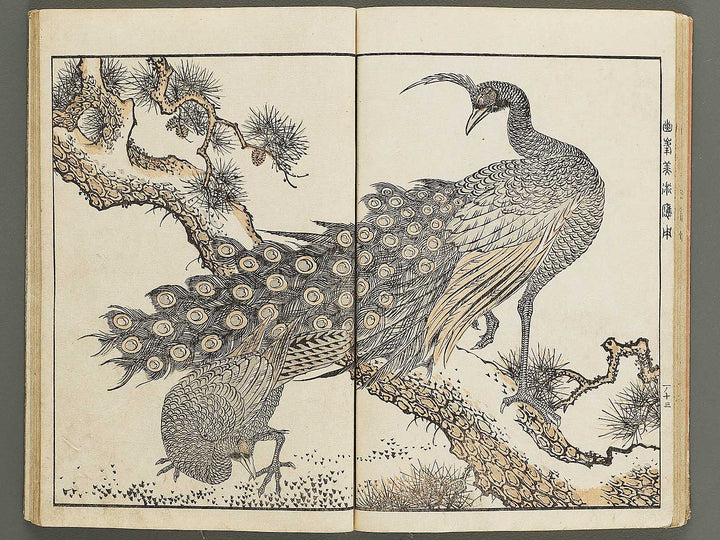 Yuho bijutsu oyo by Tanaka Yuho / BJ341-502