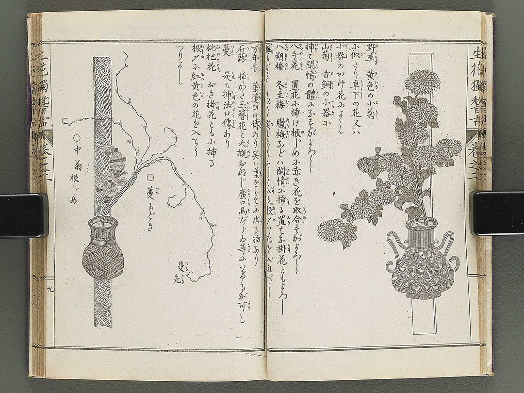 Shoryu hiden ikebana hitorigeiko Volume 2 / BJ347-935