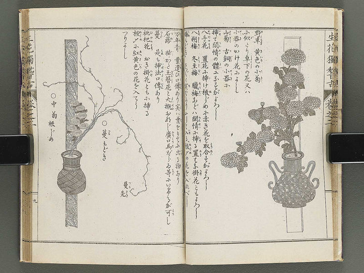 Shoryu hiden ikebana hitorigeiko Volume 2 / BJ347-935