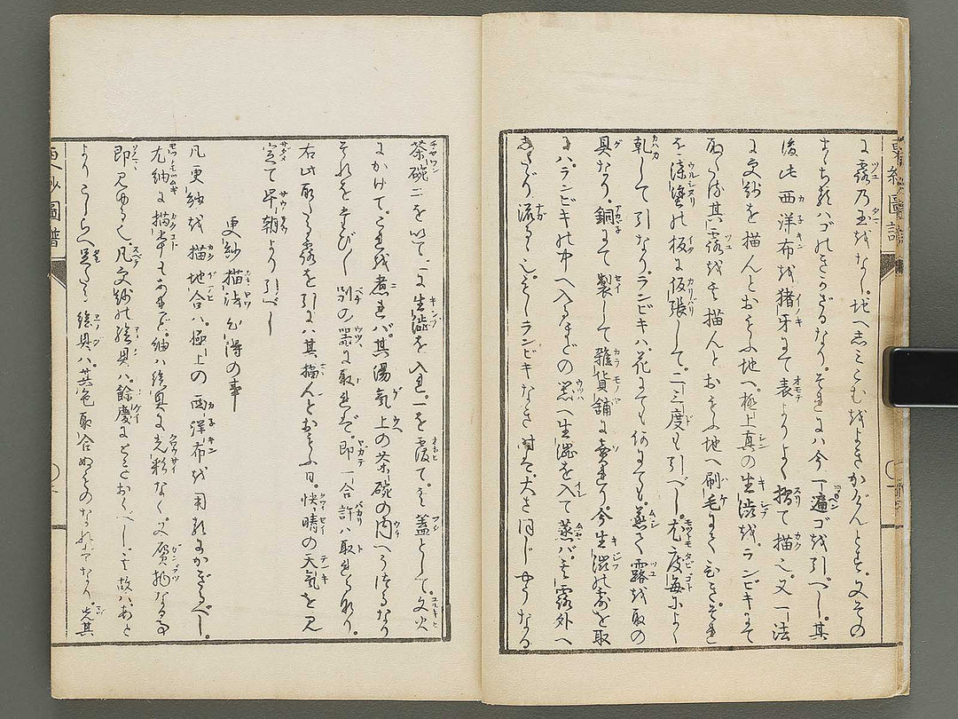 Sarasa zufu / BJ339-437