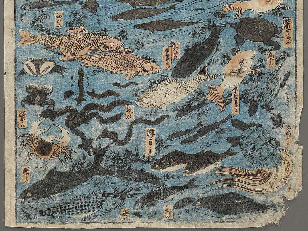 Sakana zukushi / BJ325-836