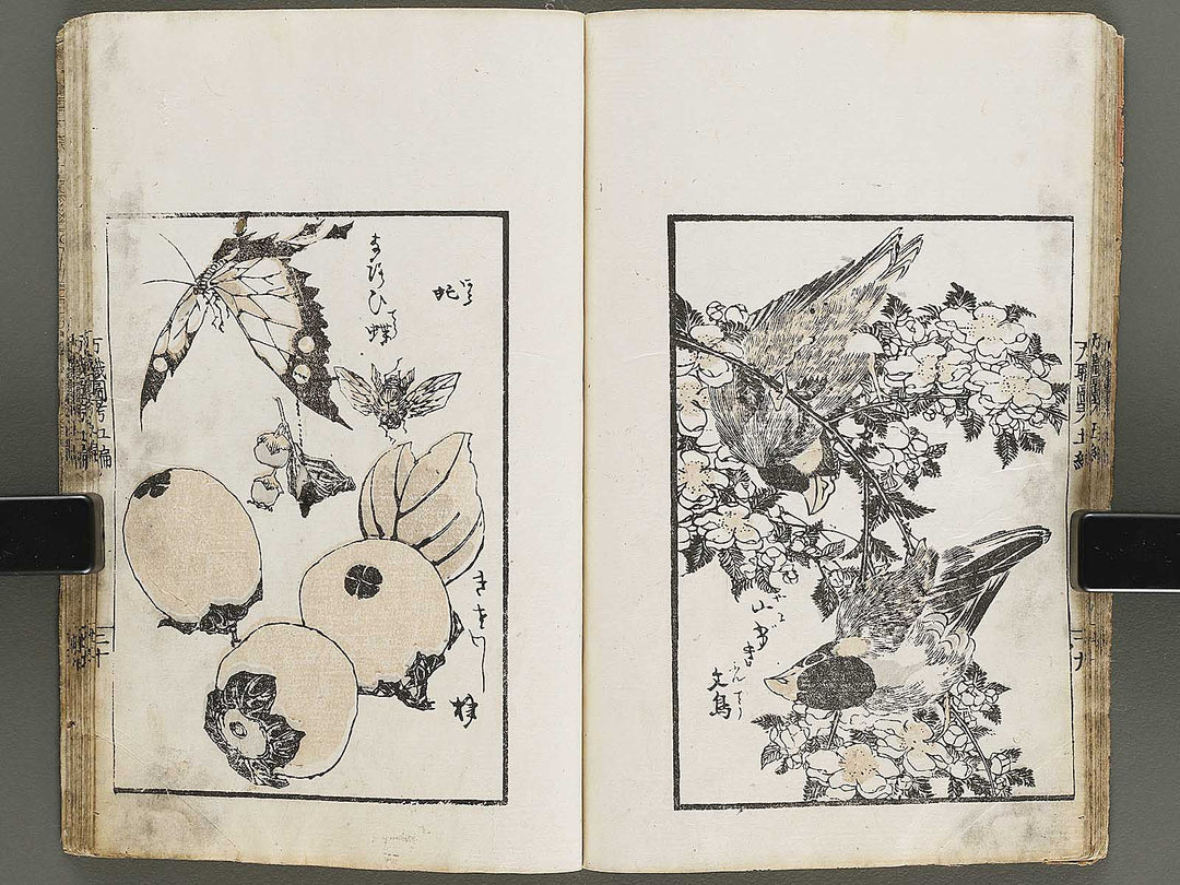 Banshoku zuko Volume 5 by Katsushika Hokusai / BJ326-116