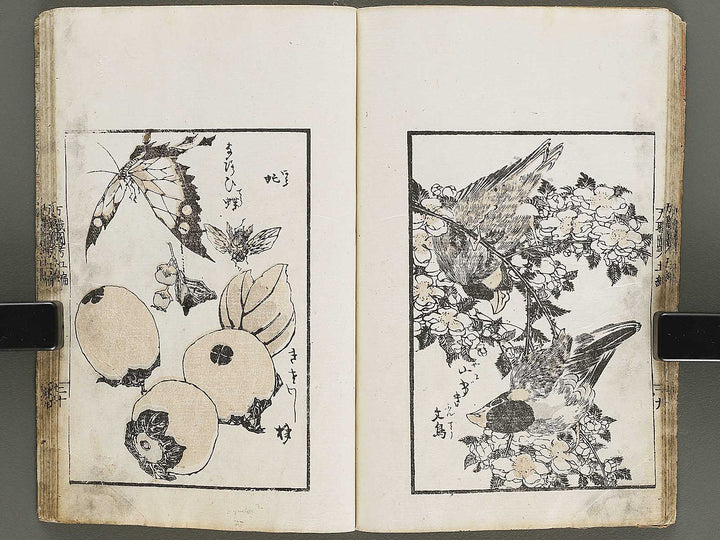 Banshoku zuko Volume 5 by Katsushika Hokusai / BJ326-116