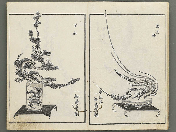 Jikei onryu ikebana chiyo no matsu / BJ342-244