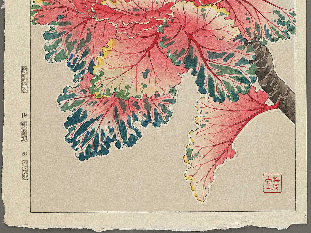 Habotan by Kawarazaki Shodo, (Large print size) / BJ346-269