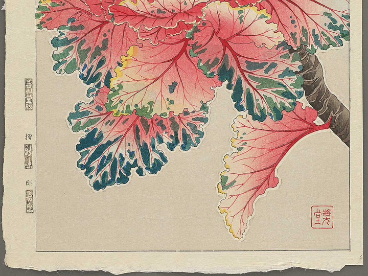Habotan by Kawarazaki Shodo, (Large print size) / BJ346-269