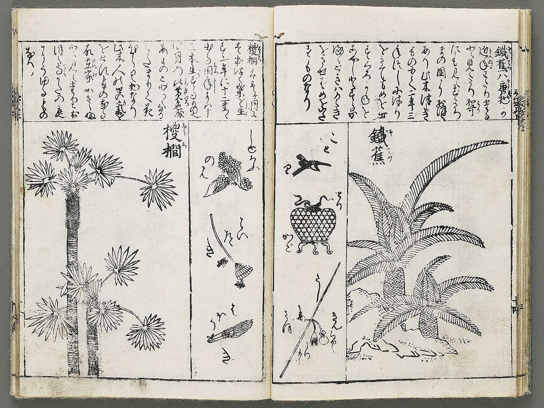 Edo shokubutsu zukan / BJ318-899