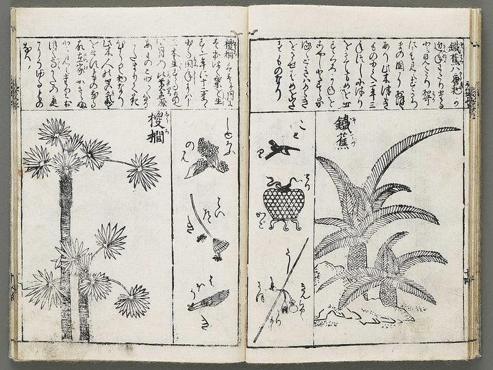 Edo shokubutsu zukan / BJ318-899