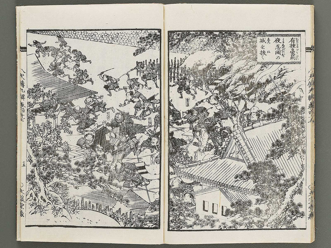 Nanso satomi hakkenden Part 9, Book 47 / BJ316-064