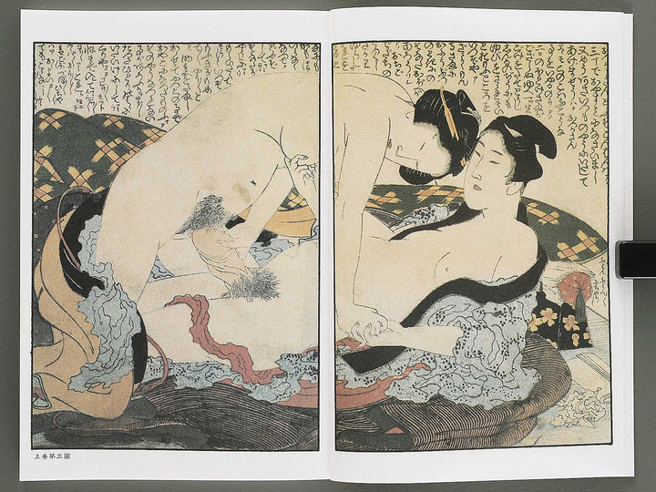 Ezoshi Konoe no komatsu Volume 3 by Katsushika Hokusai / BJ346-437