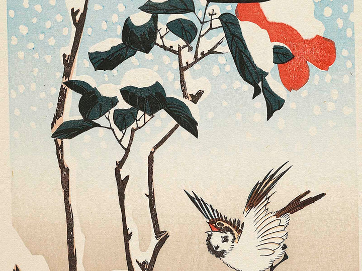 A camellia and sparrow during the snow by Utagawa Hiroshige, (Medium print size) / BJ328-118