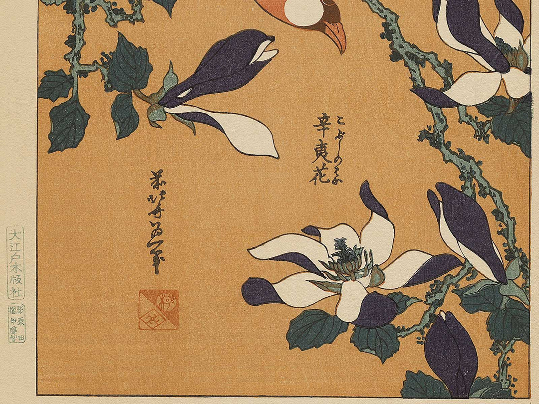 Buncho kobushi no hana by Katsushika Hokusai, (Large print size) / BJ336-119
