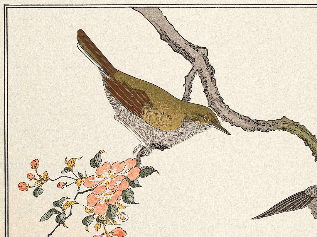 Mountain sparrow and Japanese bush warbler from the series Momochidori kyokaawase by Kitagawa Utamaro, (Large print size) / BJ328-062