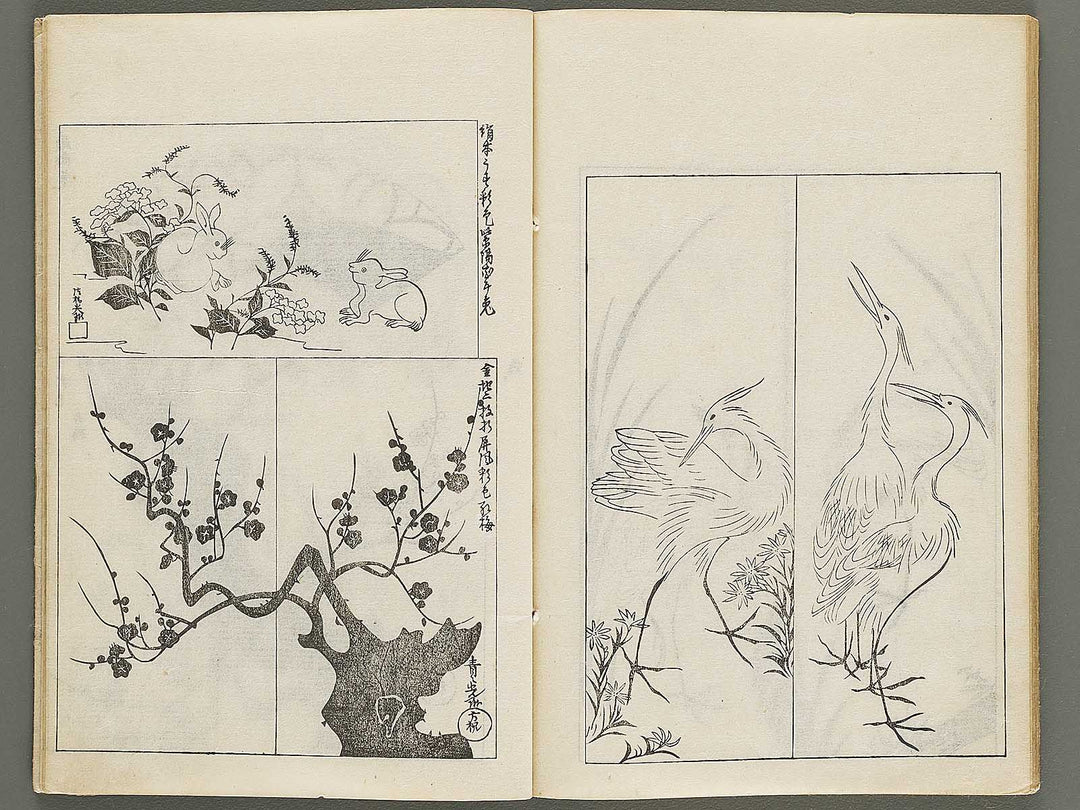 Korin hyakuzu (Ge) by Ogata Korin / BJ339-605