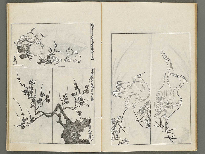 Korin hyakuzu (Ge) by Ogata Korin / BJ339-605