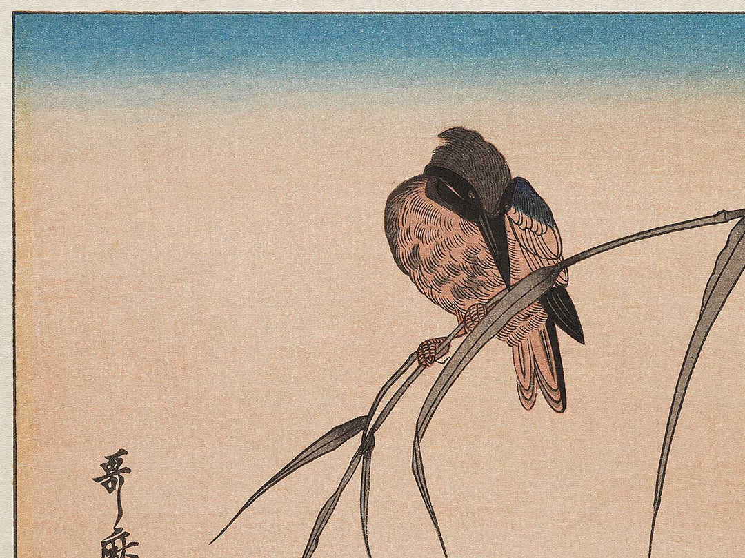 Duck and Kingfisher from the series Momotidori kyoka awase by Kitagawa Utamaro, (Large print size) / BJ331-667