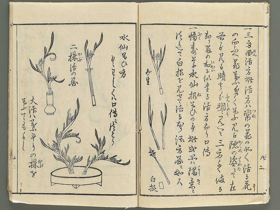 Koshu onryu kajutsu chuden no maki / BJ347-872