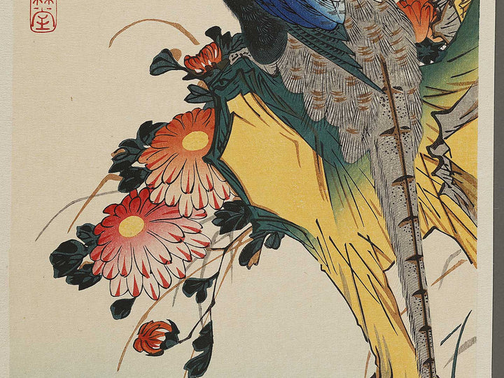 Chrysanthemum & pheasant by Utagawa Hiroshige, (Medium print size) / BJ328-111