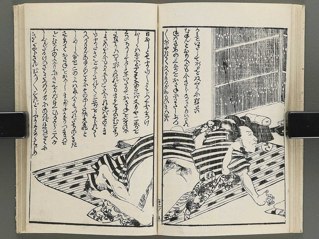 Insho kaiko ki Volume 12 by Utagawa Yoshikazu / BJ345-800