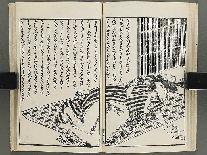 Insho kaiko ki Volume 12 by Utagawa Yoshikazu / BJ345-800