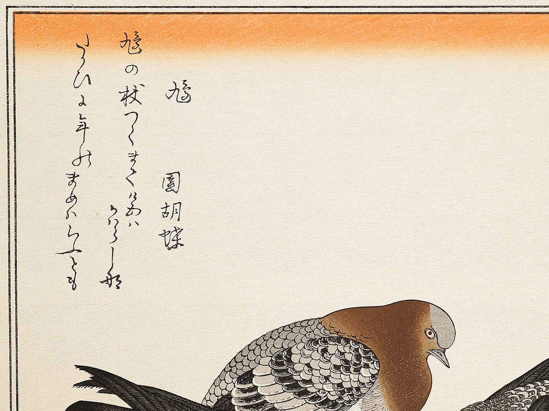 A flock of sparrows and Dove from the series Momochidori kyokaawase by Kitagawa Utamaro, (Large print size) / BJ328-055