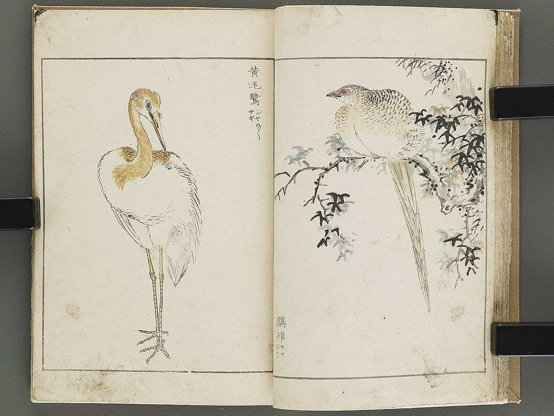 Shucho gafu (Jin) (Part 3 of 3) by Numata Kashu / BJ339-752