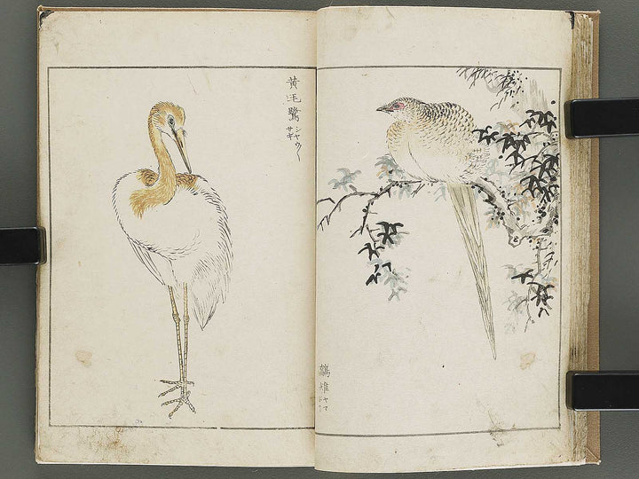 Shucho gafu (Jin) (Part 3 of 3) by Numata Kashu / BJ339-752