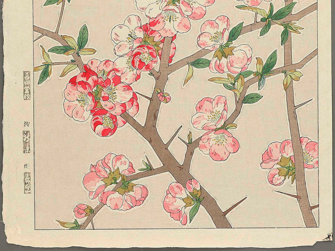 Boke by Kawarazaki Shodo, (Large print size) / BJ346-255