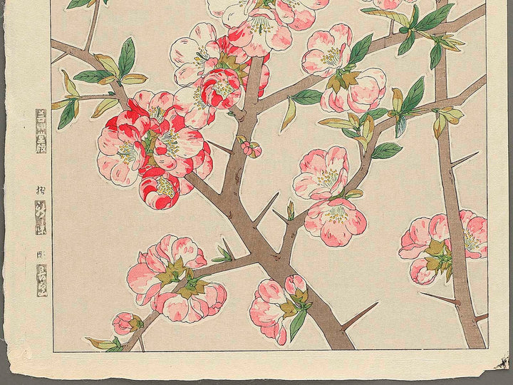 Boke by Kawarazaki Shodo, (Large print size) / BJ346-255