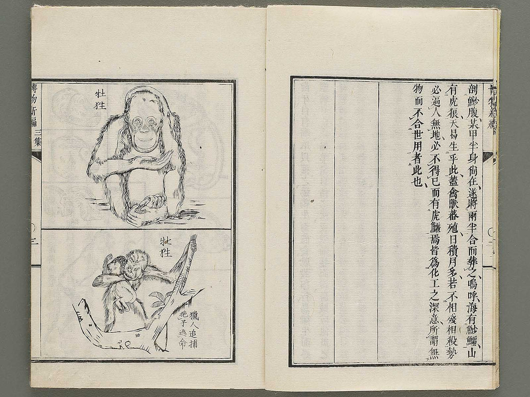 Hakubutsu Shinpen Volume 3 / BJ335-412