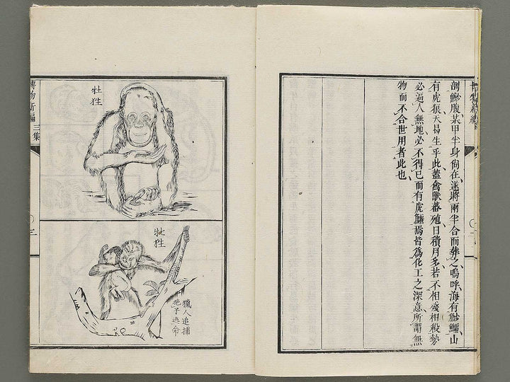 Hakubutsu Shinpen Volume 3 / BJ335-412
