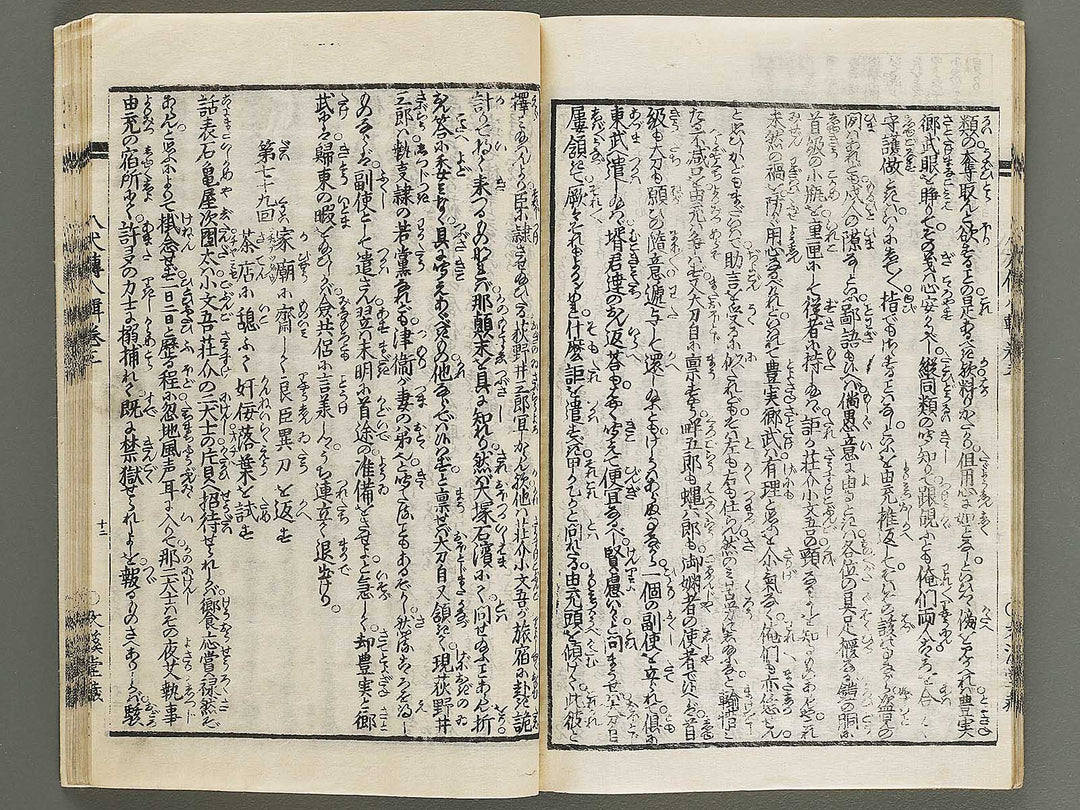 Nanso satomi hakkenden Volume 8, (Jo) / BJ316-302