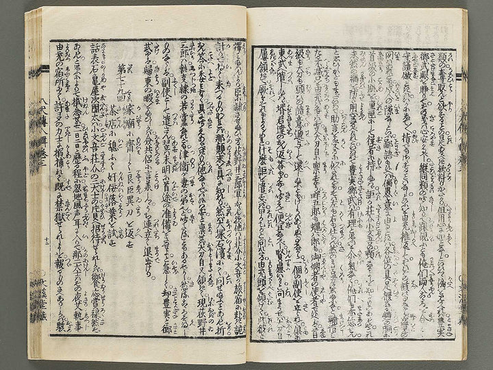 Nanso satomi hakkenden Volume 8, (Jo) / BJ316-302