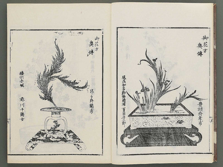 Naniwa no hana by Matsukawa Hanzan / BJ348-992