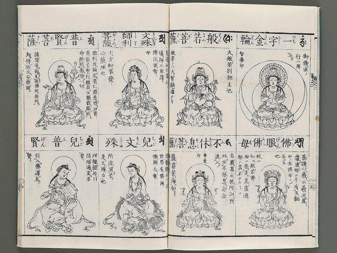 Zoho shoshu butsuzo zui Volume 2 by Tosa Hidenobu / BJ339-052