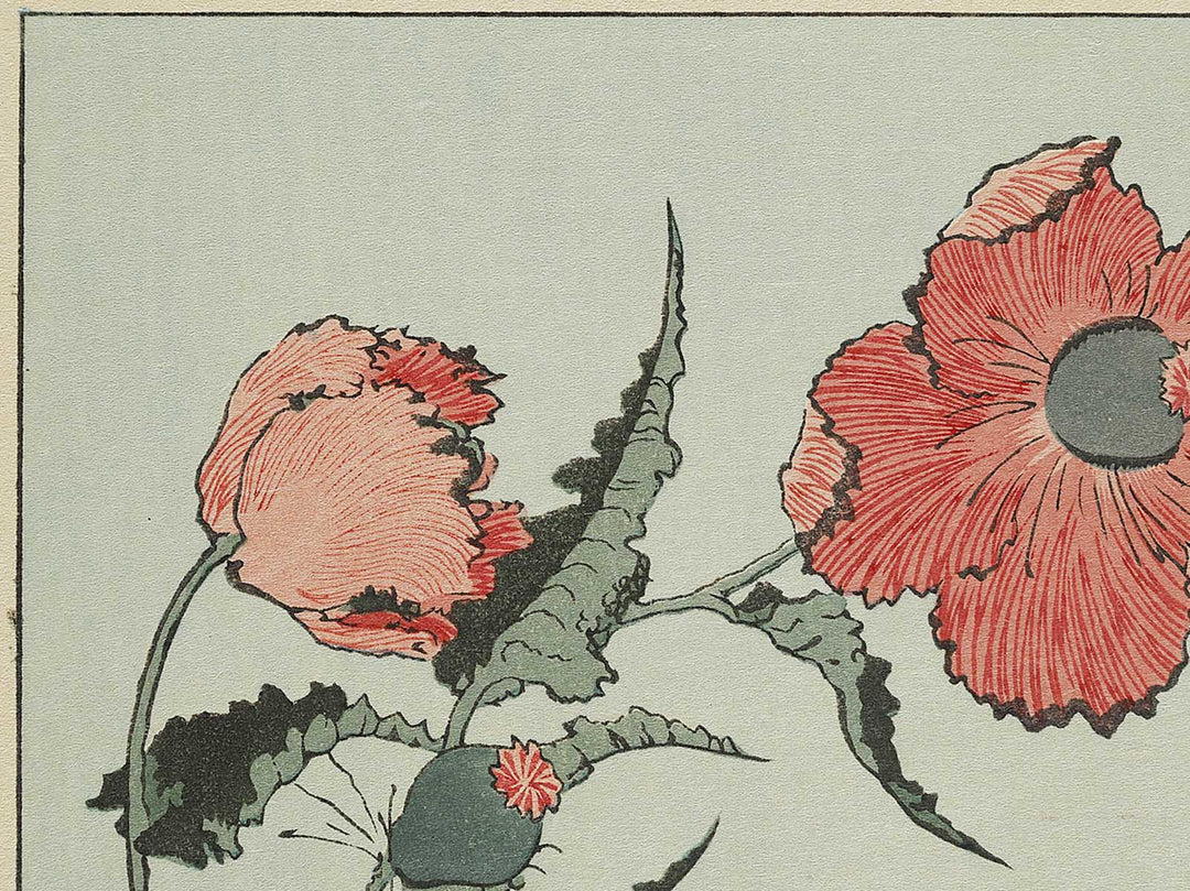 A poppy by Katsushika Hokusai, (Medium print size) / BJ327-334