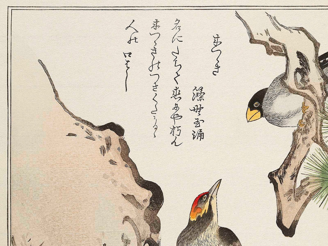 Japanese Grosbeak and Woodpecker from the series Momochidori kyokaawase by Kitagawa Utamaro, (Large print size) / BJ328-027