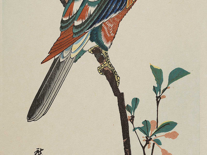 Kaido ni omu from the series Kacho dai tanzakusen by Utagawa Hiroshige, (Medium print size) / BJ328-174