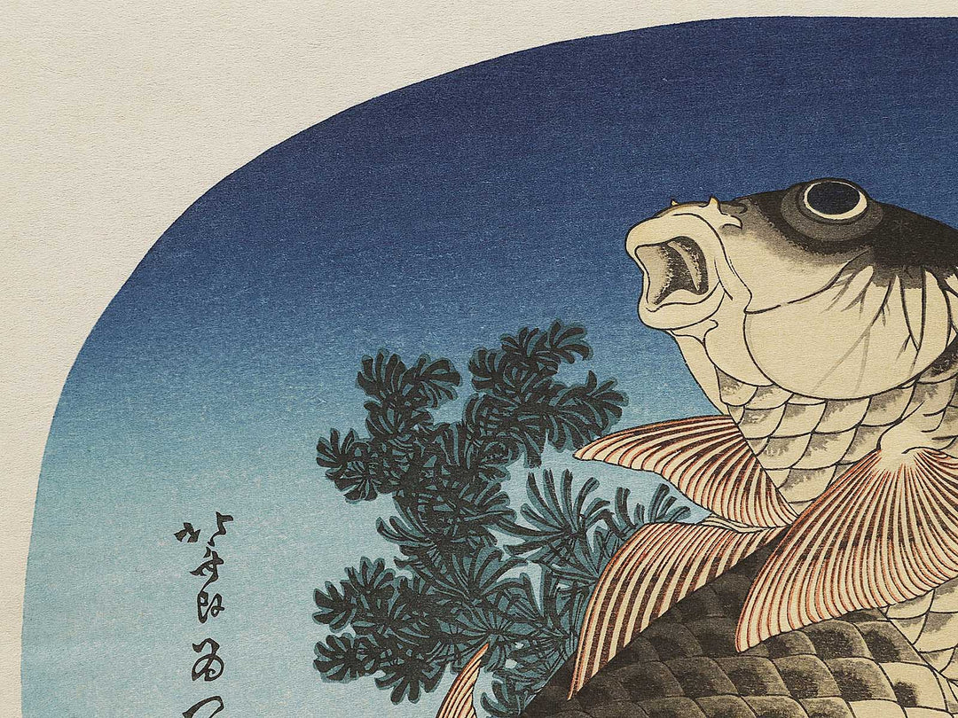 Koi by Katsushika Hokusai, (Large print size) / BJ337-603