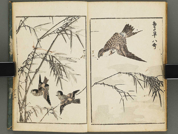 Dokushu mohitsuga tehon Volume 1 by Utagawa-school / BJ323-526