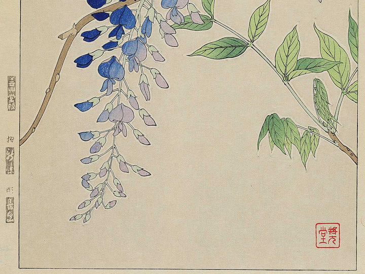Fuji by Kawarazaki Shodo, (Large print size) / BJ347-998